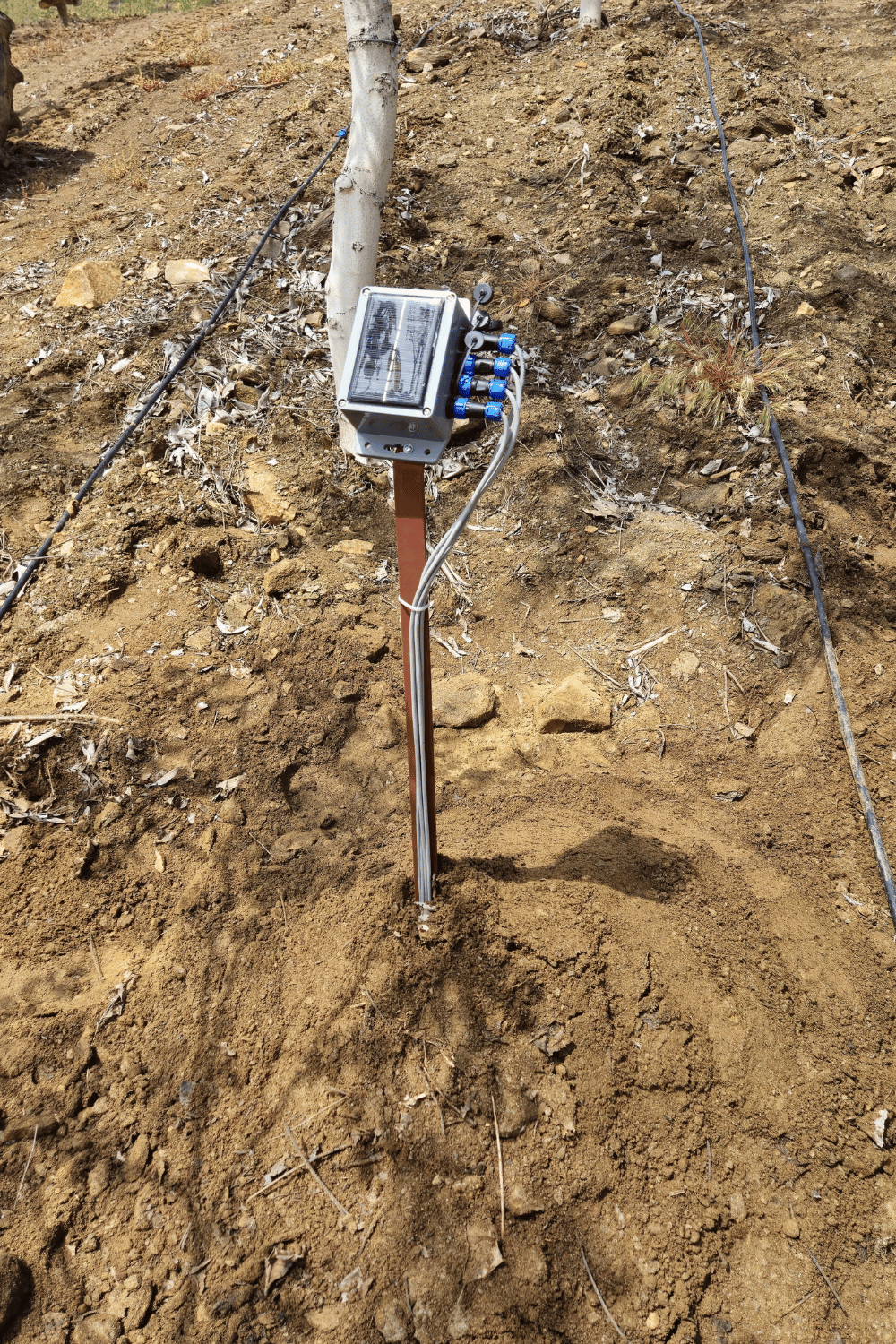 Sensor de Humedad del Suelo Inalámbrico a Batería