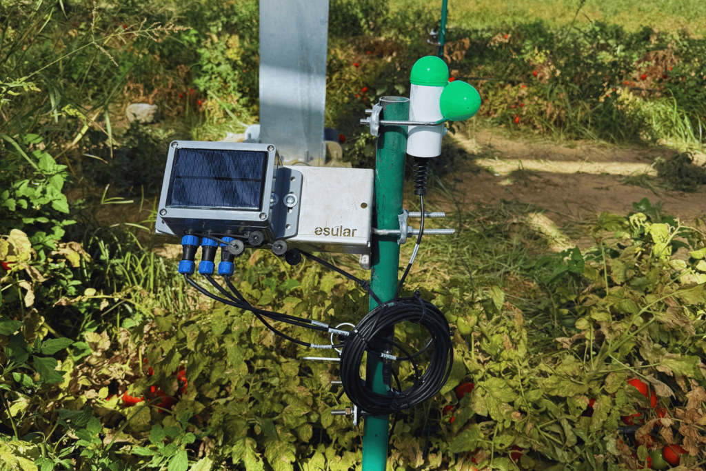 infrared-radiometer-nedir-esular