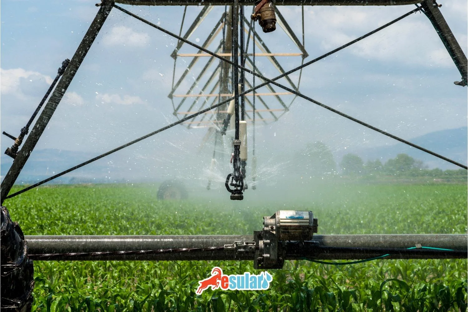 What is an Irrigation Project? What Should Be Considered When Preparing an Irrigation Project?