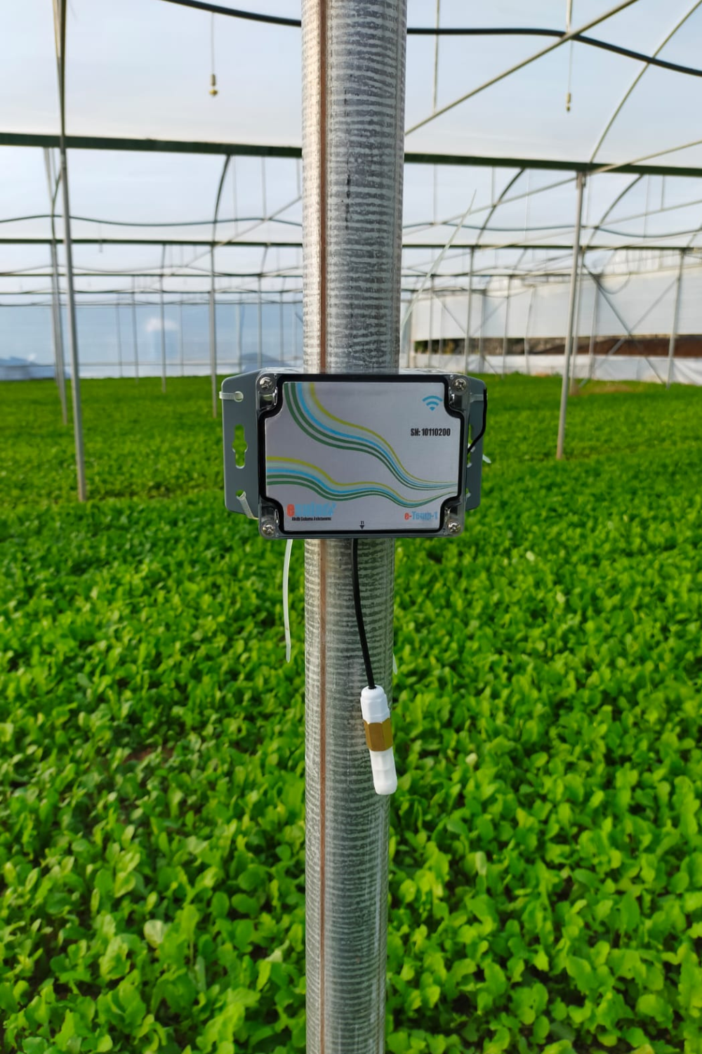 Wireless temperature humidity sensor esular