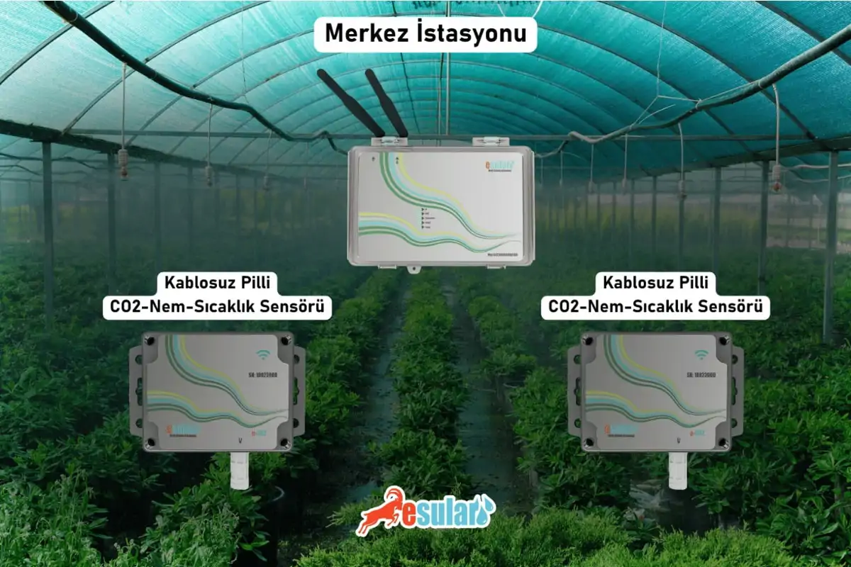 Dijital Alt Yapı Desteği