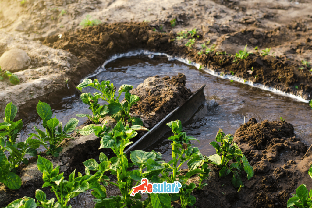 furrow irrigation system