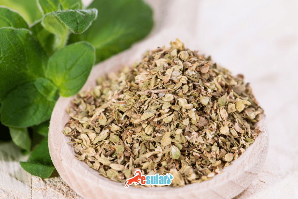 benefits-and-harms-of-thyme