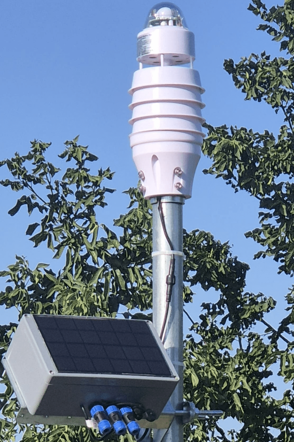 Открытое поле