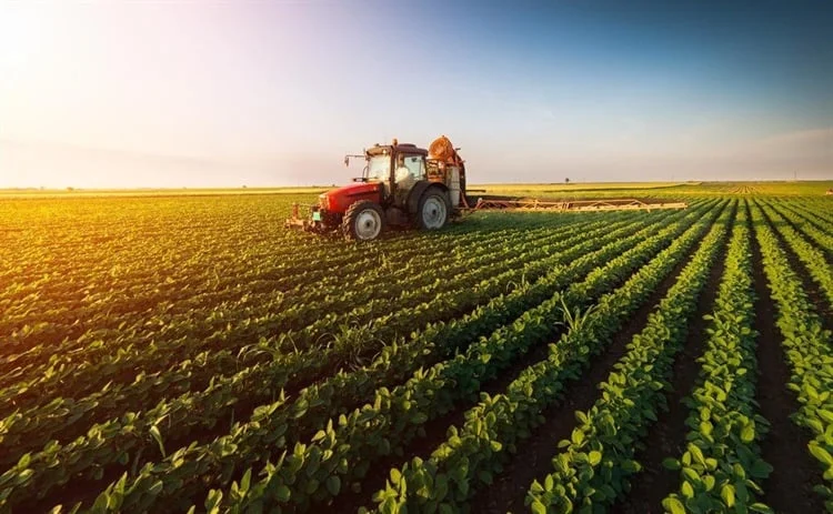 Türkei schaffte es nicht unter die Top 25 Länder im Global Food Sustainability Index: Wassermanagement erhielt 0 von 100 Punkten