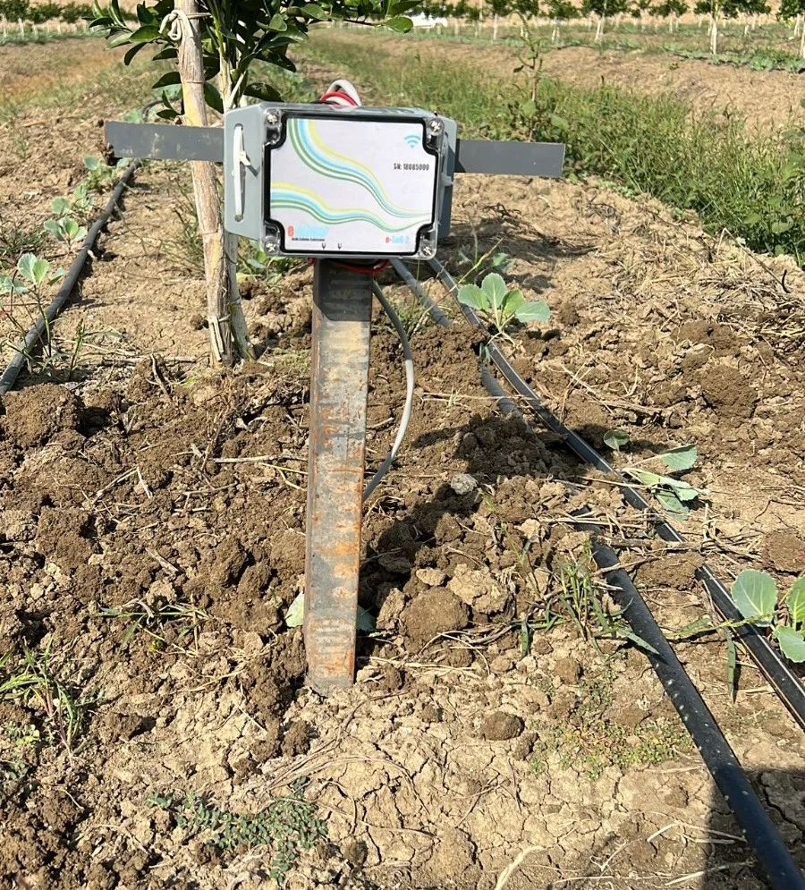 mandalina-bahcesi-esular-akıllı-sulama-otomatik-sulama-uygulaması