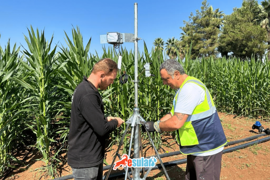 Professionelle Wetterstation