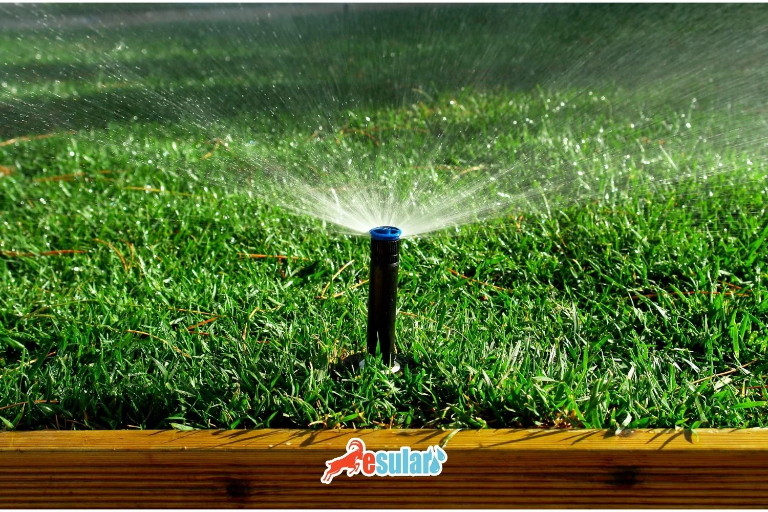 Automatic Lawn Irrigation System