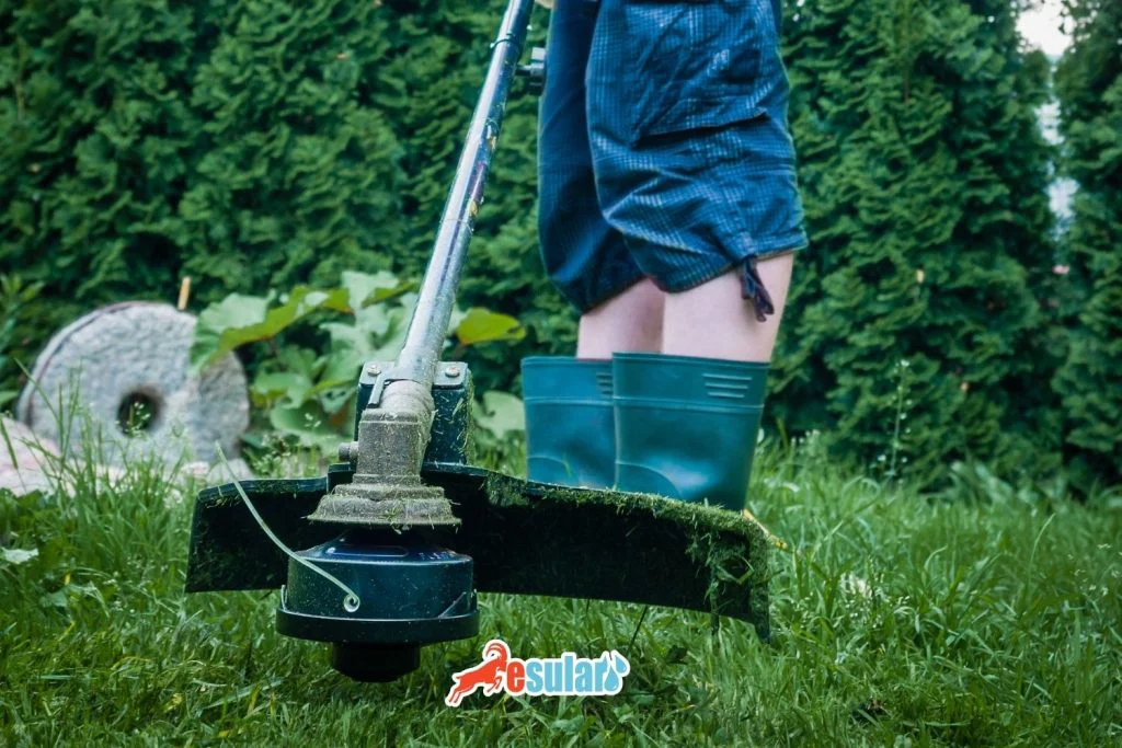 motorized-scythe-types