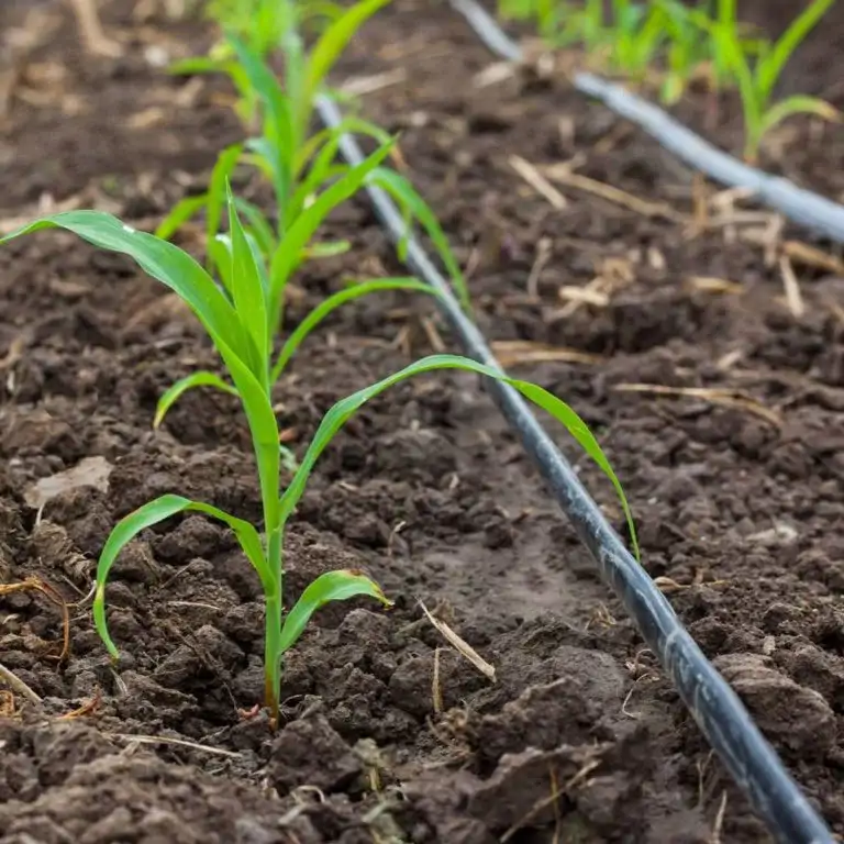 Akıllı sulama ve fertigasyon uygulaması