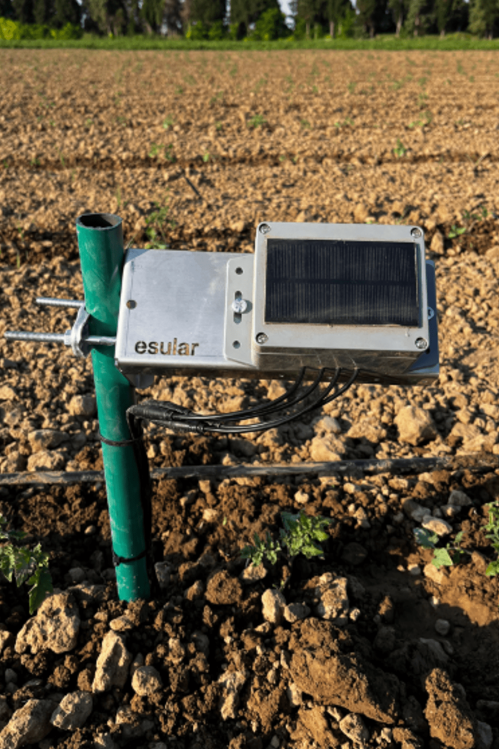 مستشعر رطوبة التربة اللاسلكي الذي يعمل بالبطارية