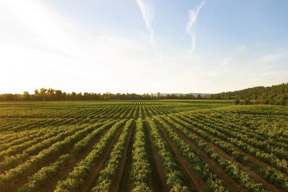 Intelligente Bewässerungslösungen für landwirtschaftliche Flächen