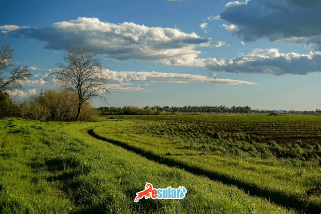 benefits-of-fallowing