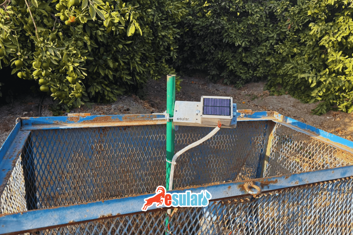 Smart Irrigation in Citrus Grove