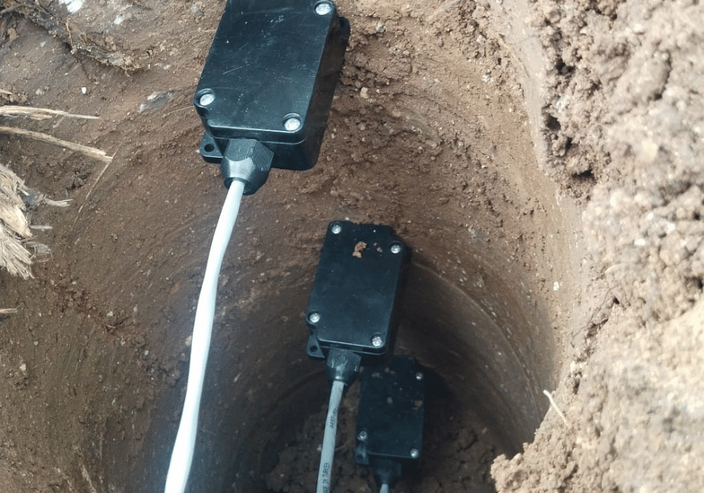 Moisture Measurement Data