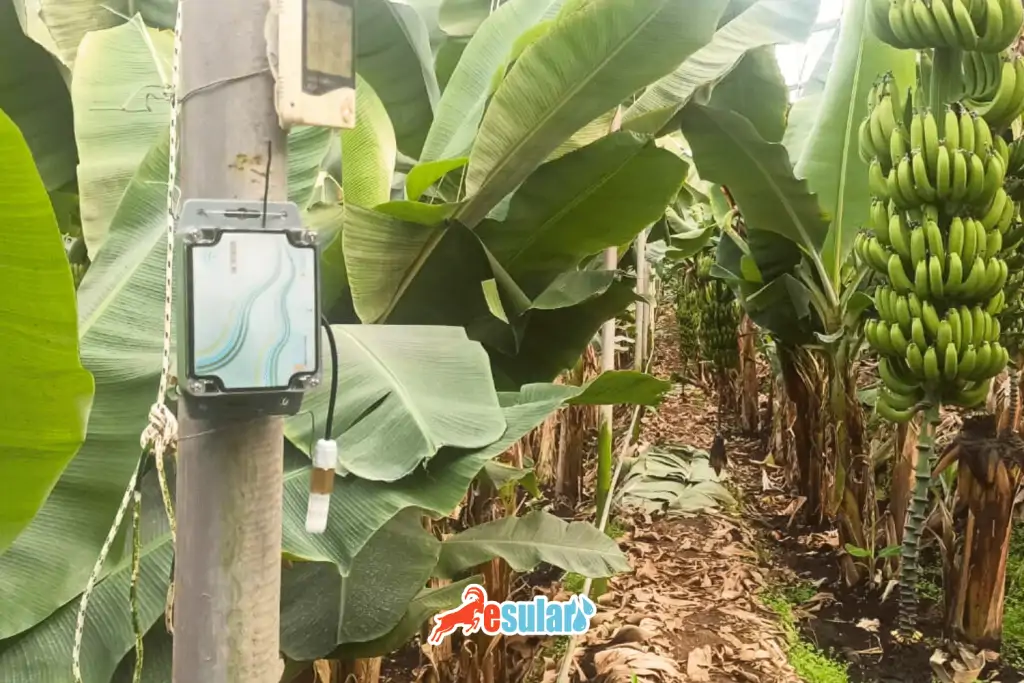 nem-sicaklik-sensoru-nerede-kullanilir