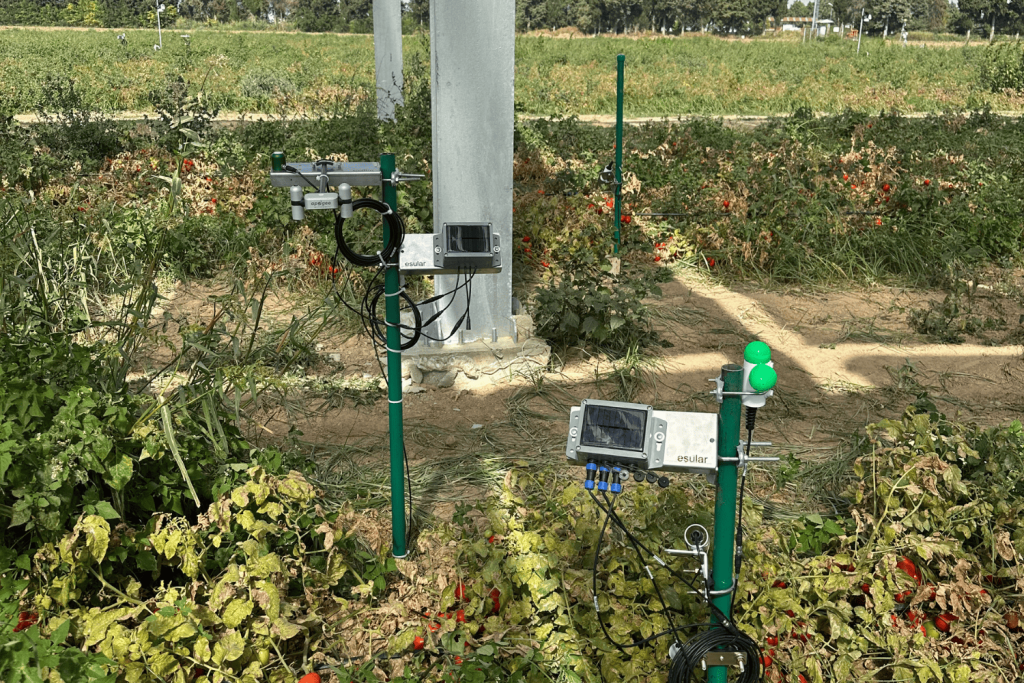 Was ist ein Net-Radiometer? Die Grundlage des Energiehaushalts und der Bewässerungsentscheidungen in der Landwirtschaft