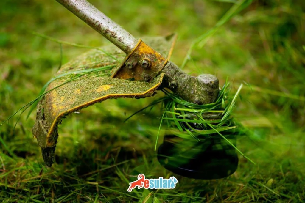 grass-mowing-machine