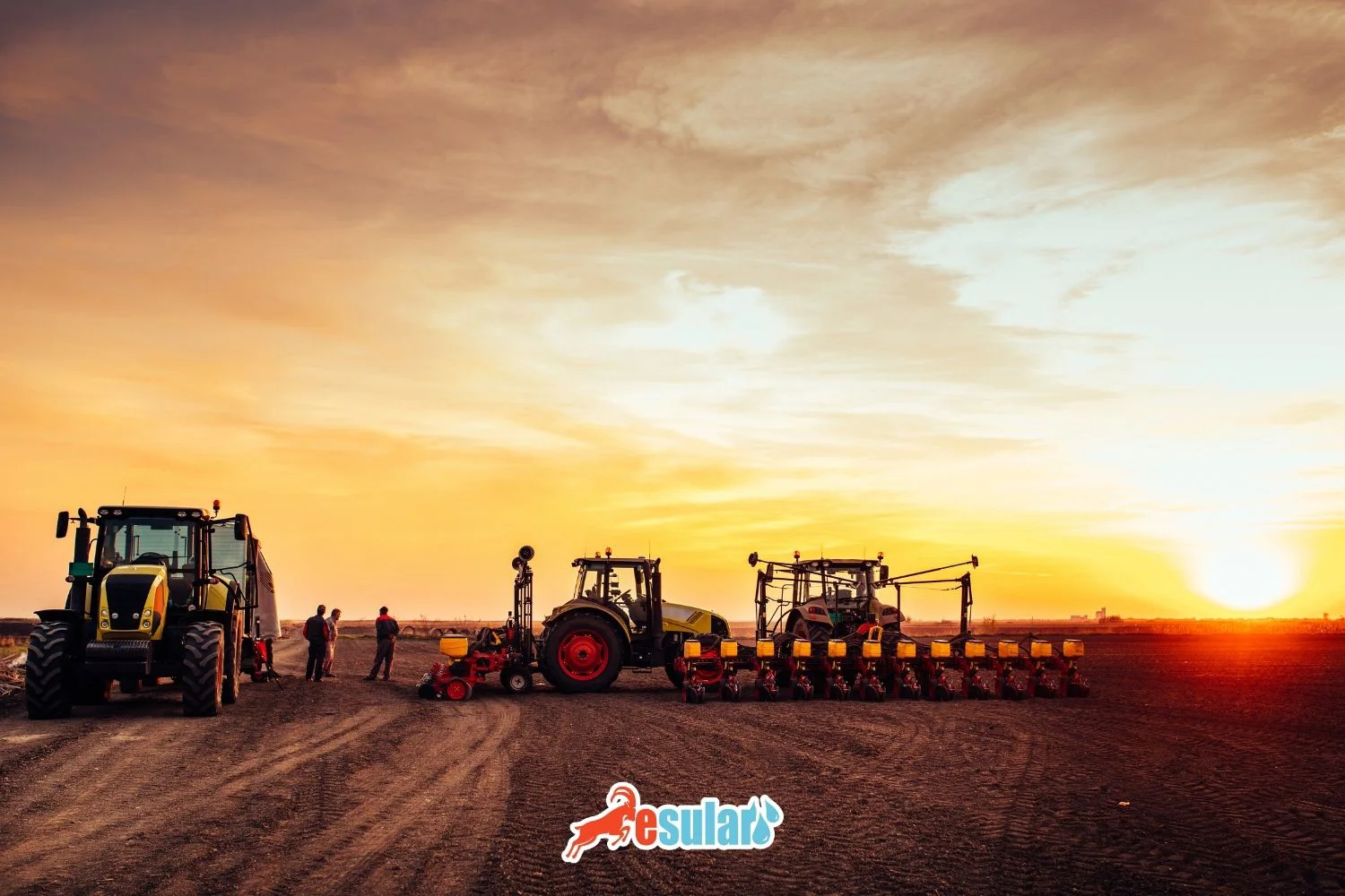 El Éxito Agrícola de los Países Bajos
