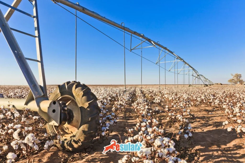 cotton-water-requirement