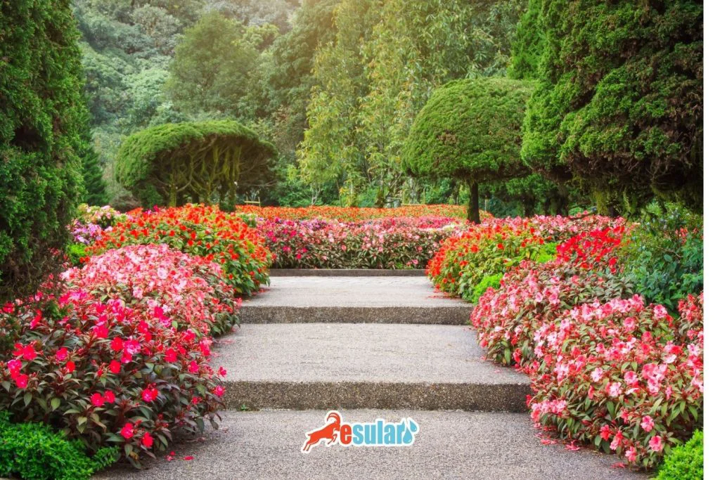 peyzaj-nasil-yapilir