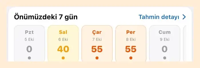 Esular uygulamasında 7 günlük hastalık riski öngörüsü