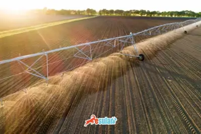 Hava Vanası (Vantuz) Nedir? Ne İşe Yarar? Kapsamlı Sulama ve Tesisat Rehberi