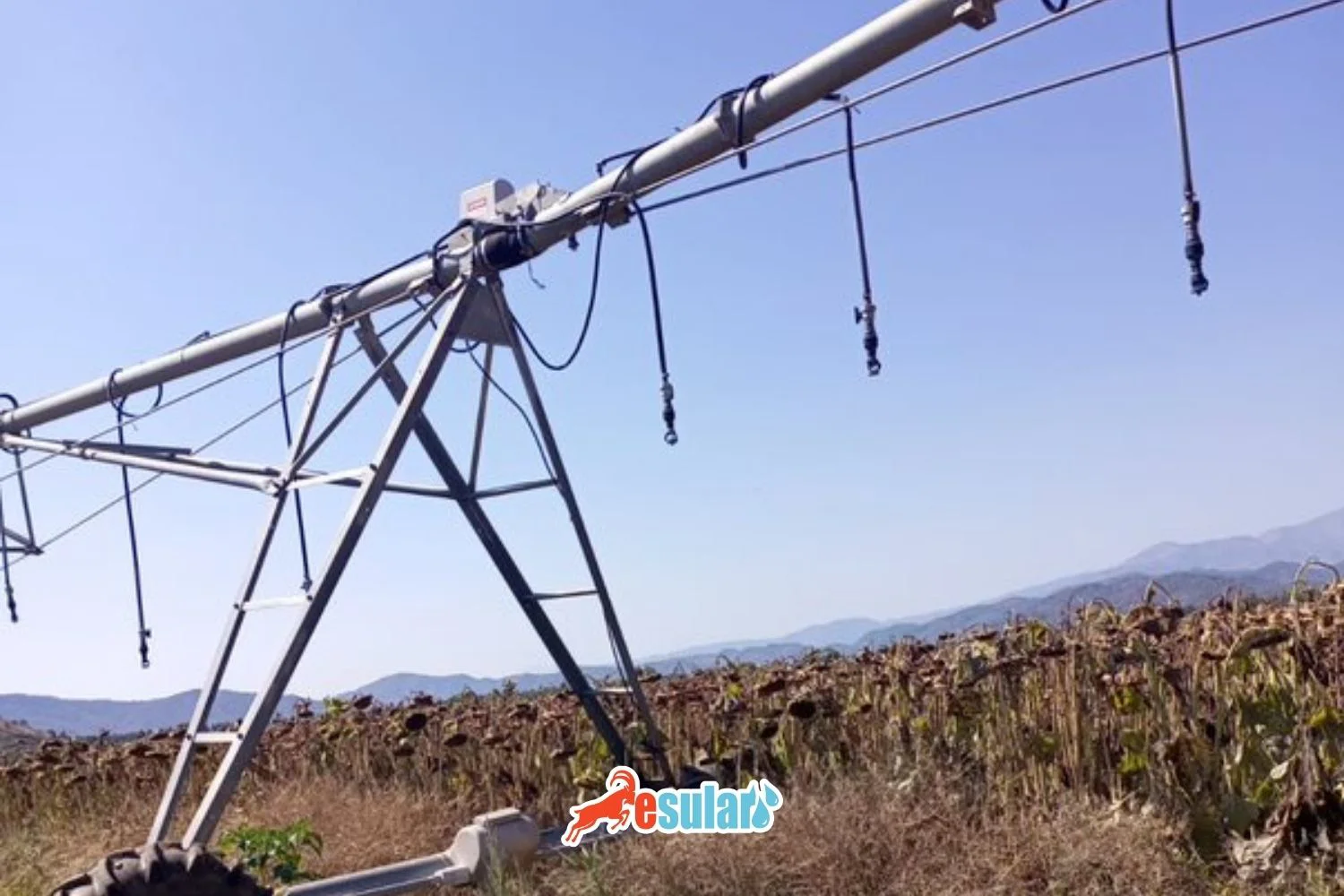 Remote Pivot Irrigation Control