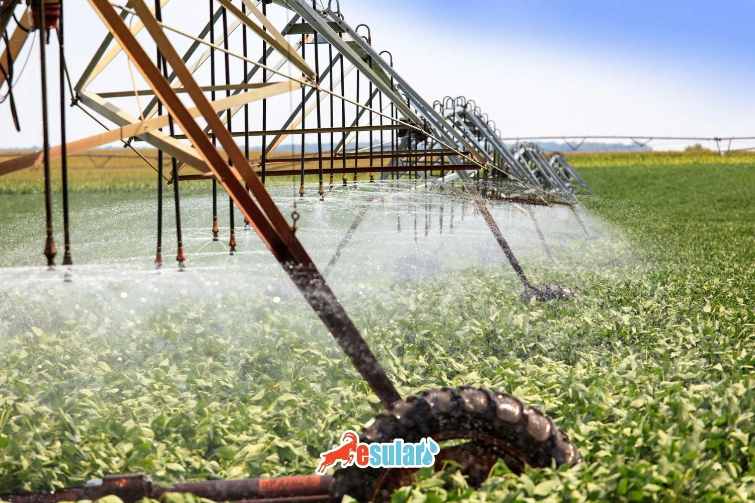 Center Pivot Digitization: 40% Water Saving