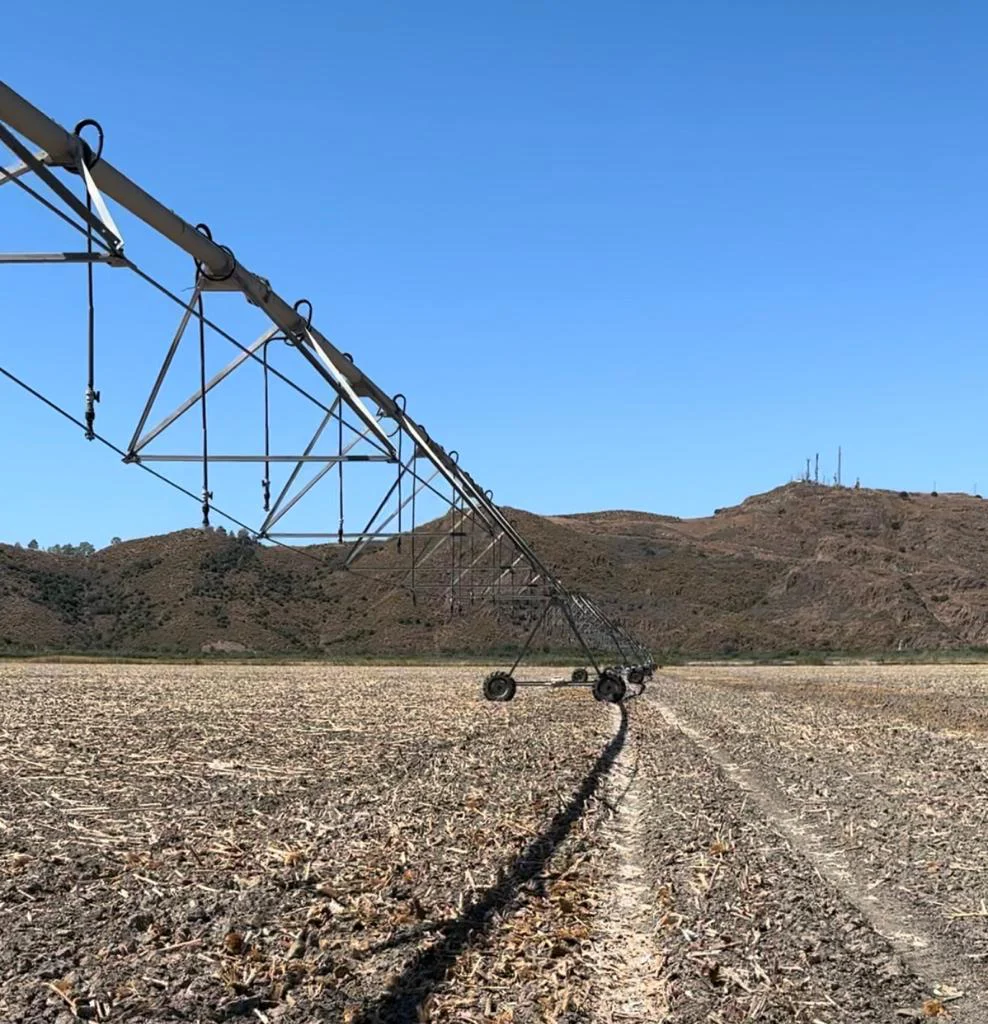 Böyük Təsərrüfatlar