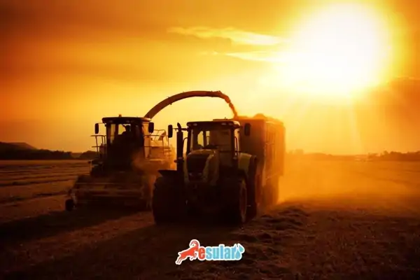 plantasyon-tarim-ozellikleri