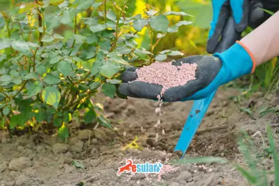 Potasyum Gübresi Nedir?