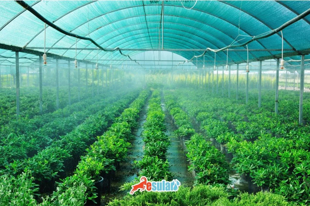 La Importancia Económica del Riego Agrícola