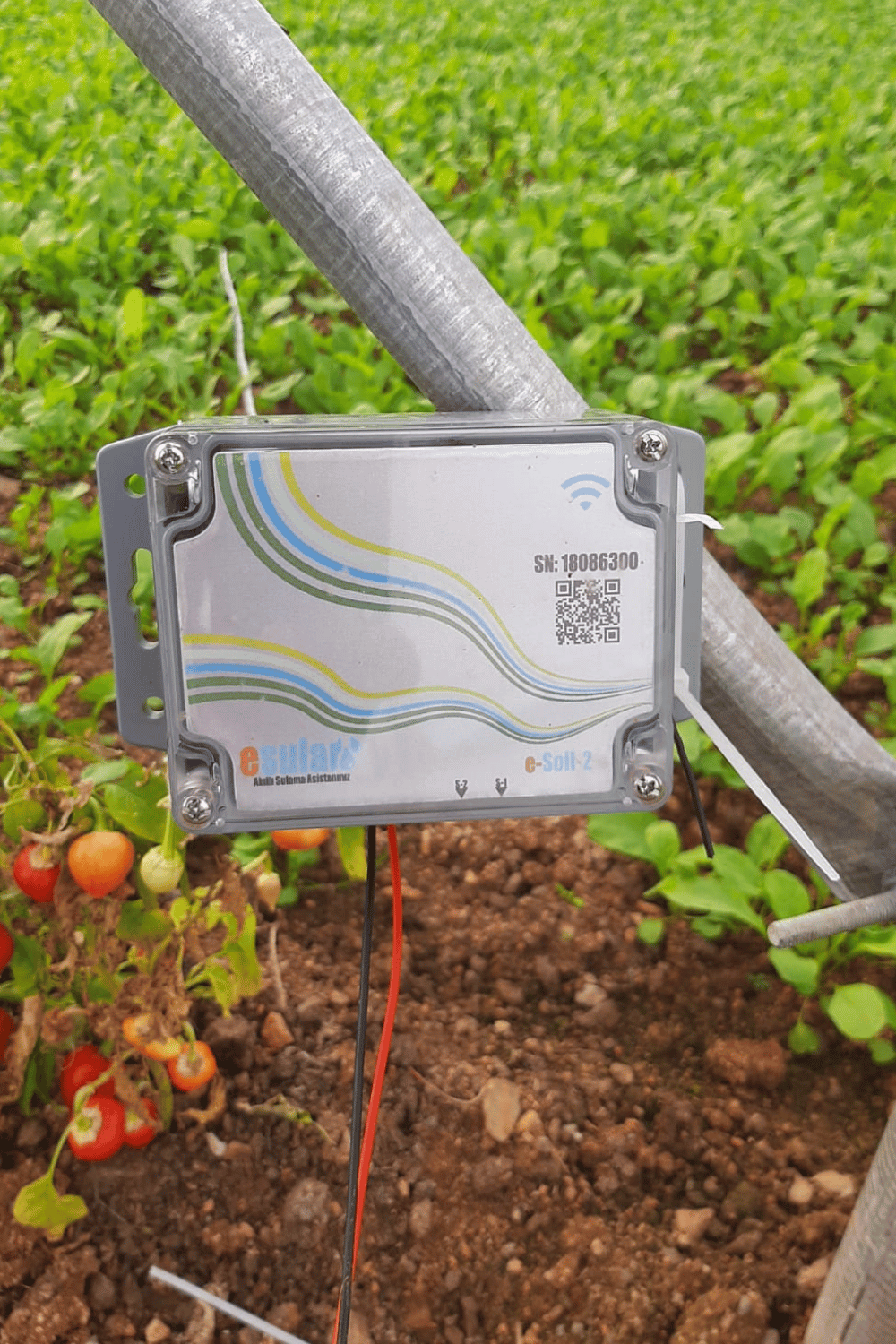 Application of soil moisture sensor in pots and seedlings