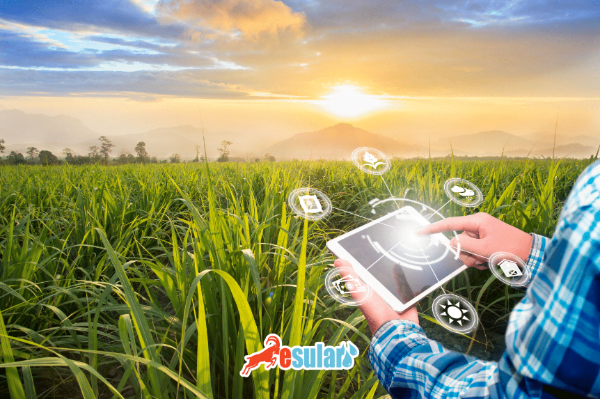 Advantages of Irrigation Assistant Esular