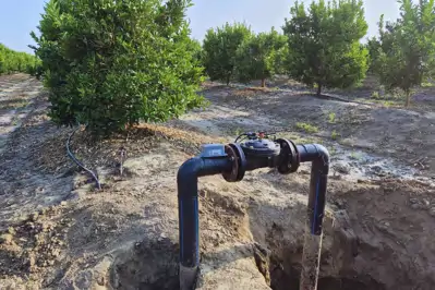 Küresel Vana Nedir, Ne İşe Yarar? Çalışma Prensibi, Çeşitleri ve Tarımsal Kullanımı