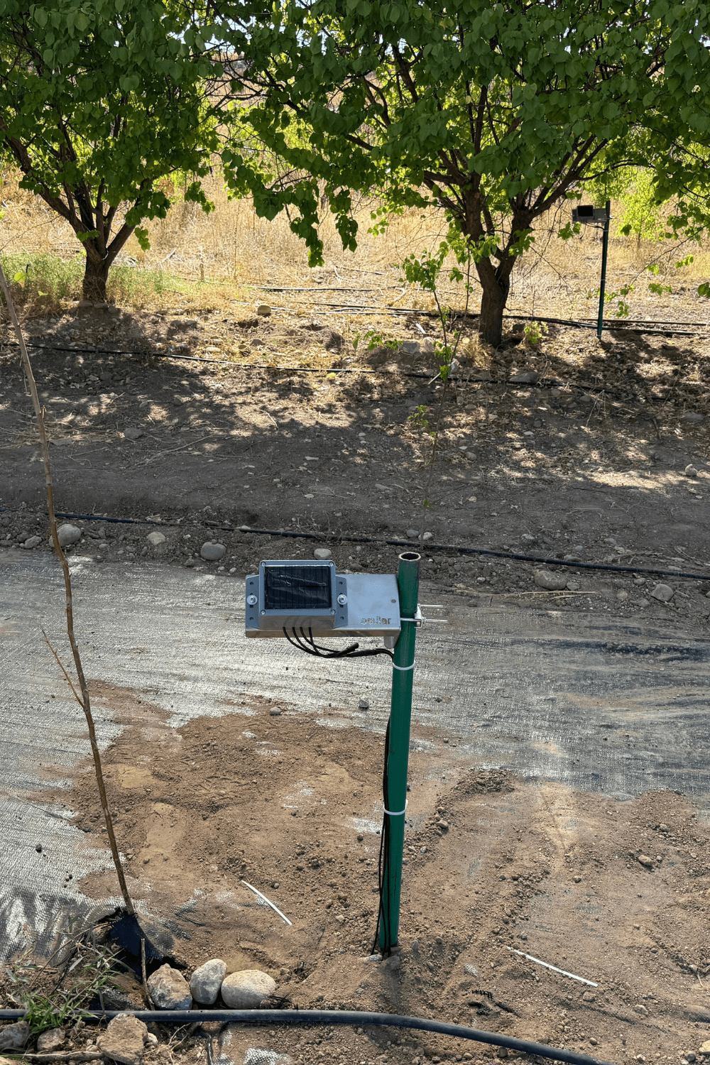 Sensor de Humedad del Suelo Inalámbrico a Batería