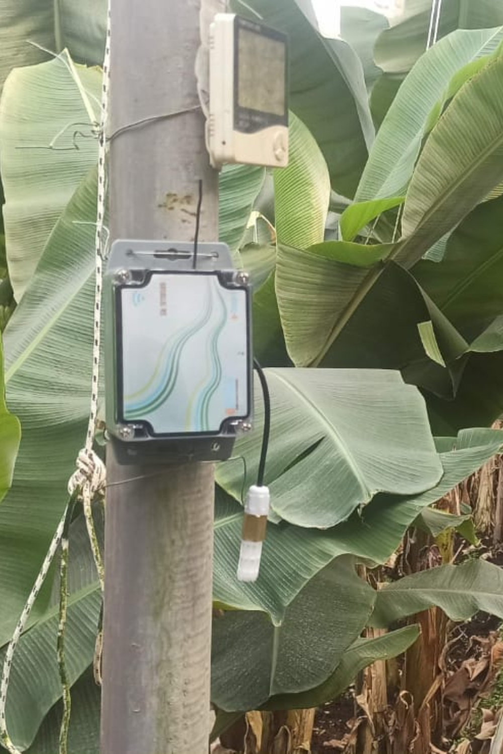 Sensor de Humedad y Temperatura Inalámbrico a Batería - Serie Smart