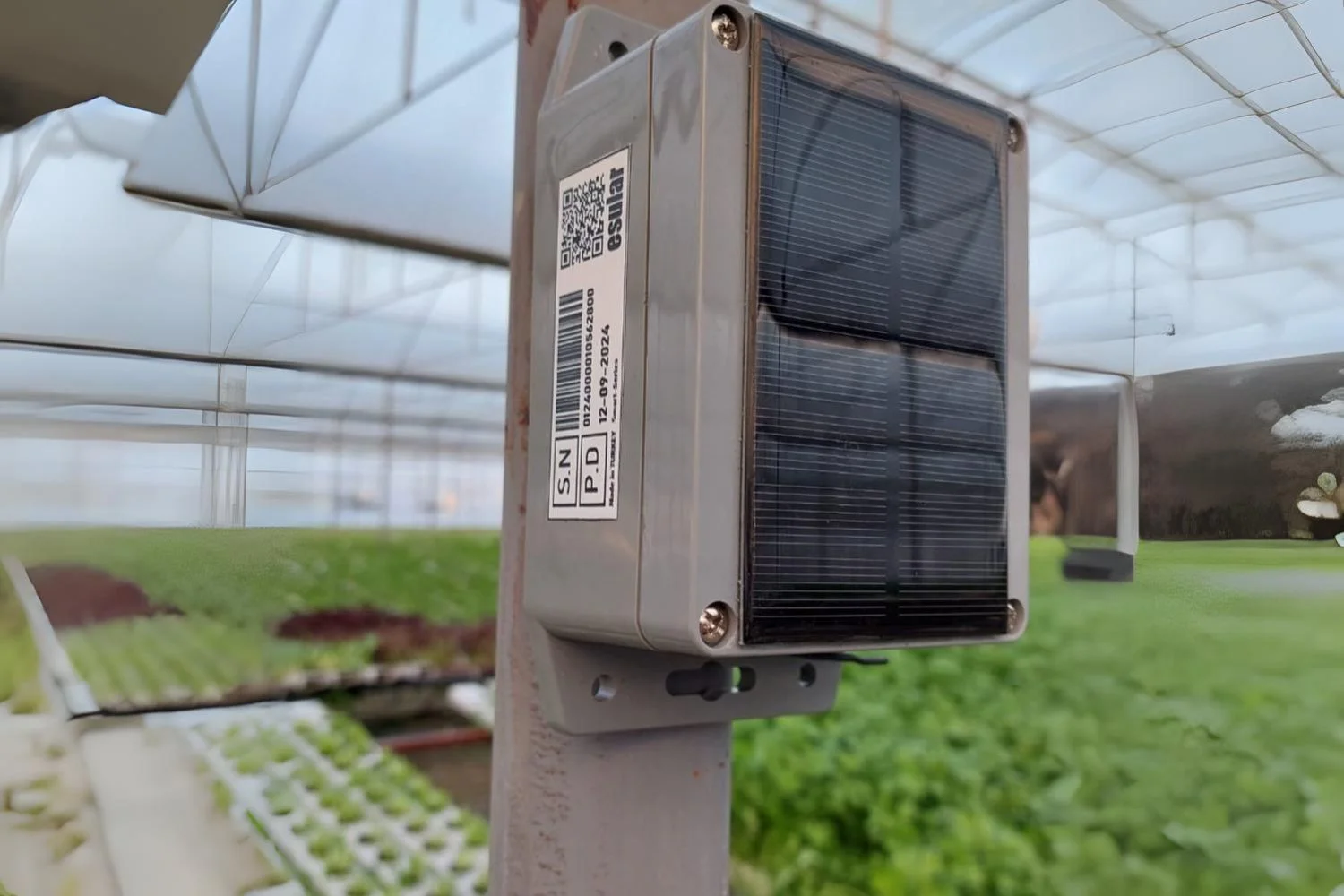 Sensor de temperatura ambiental