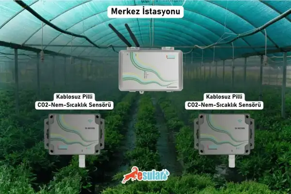 Esular Karbondioksit Sensörü ve Sera CO2 Kontrol Sistemleri: Verimlilik ve Havalandırma Rehberi