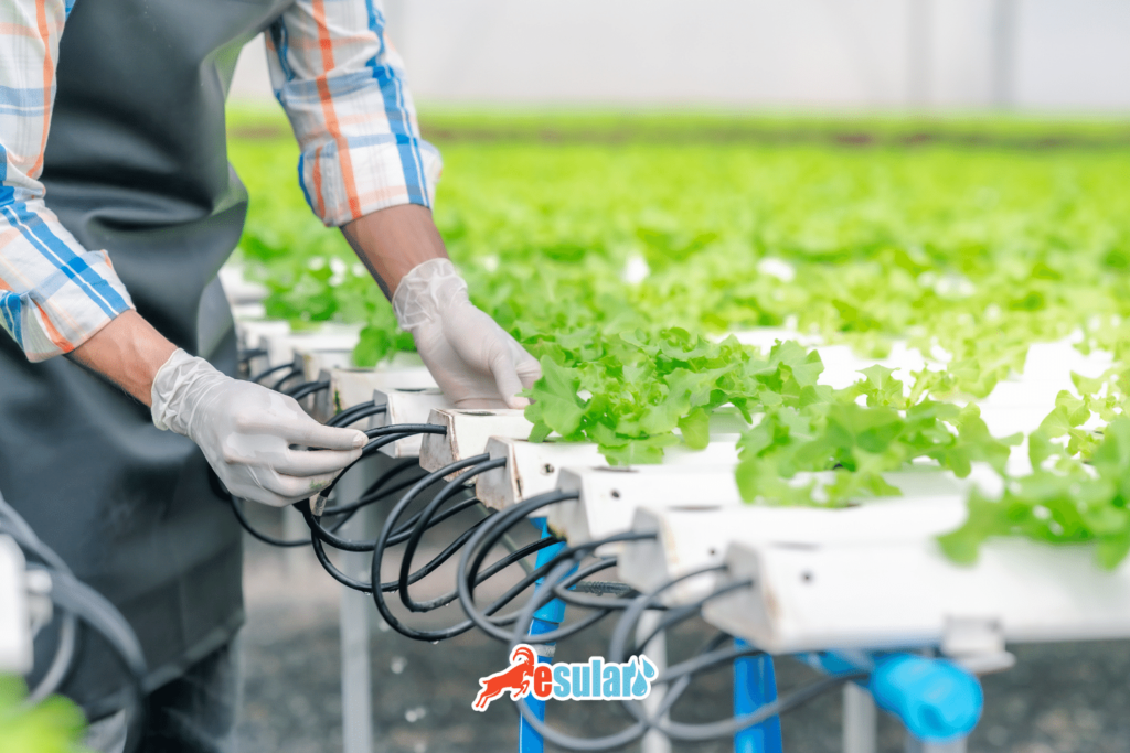 sera-drenaj-sistemleri