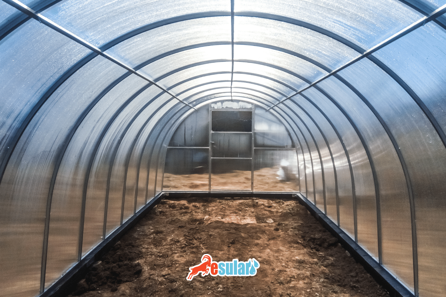 Greenhouse Thermal Screen