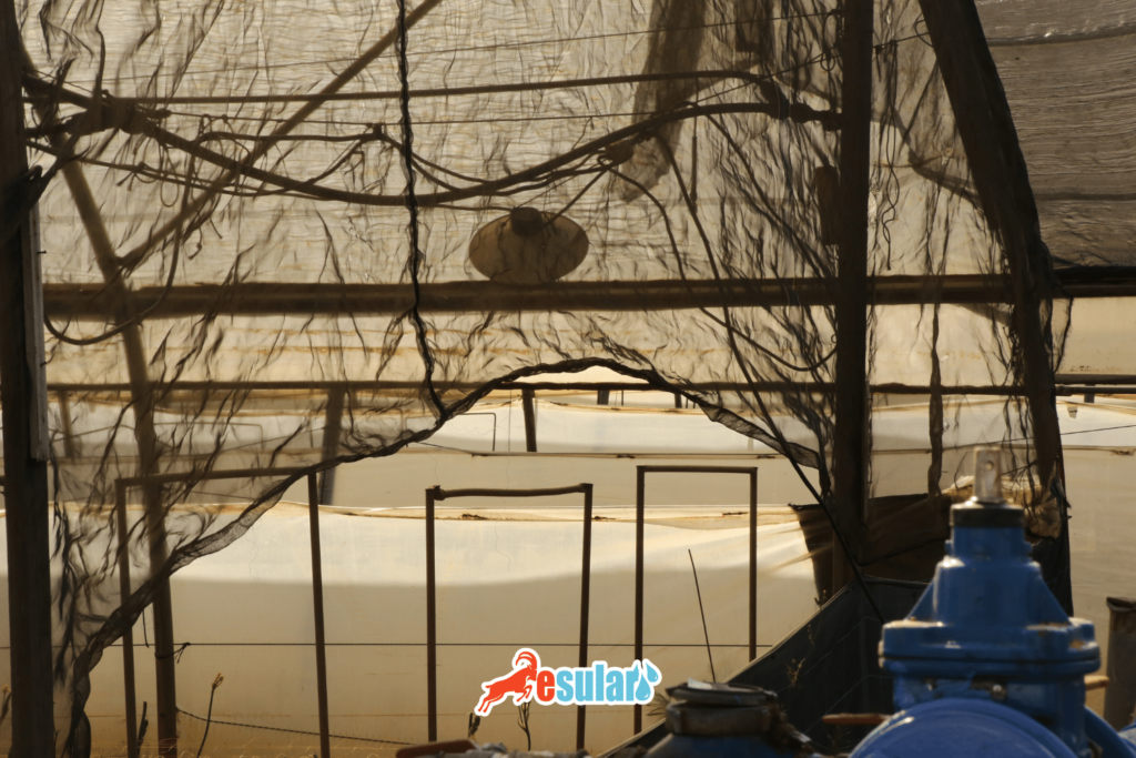 sera-isi-perdesi-tarihcesi