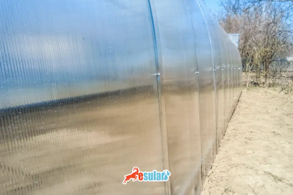 sera-naylonu-kac-sene-dayanir