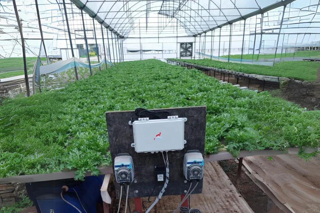 how-is-greenhouse-humidity-tracked
