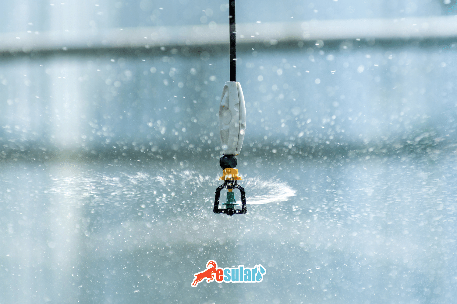 Greenhouse Irrigation Systems