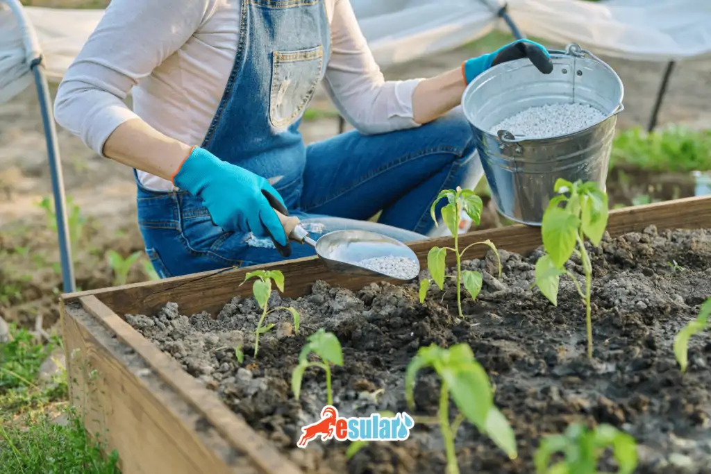 fertilization by broadcasting method