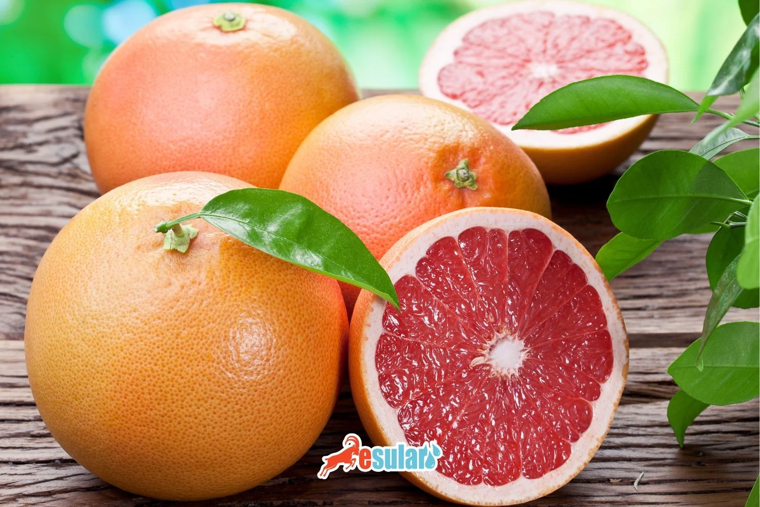 كيف يتم زراعة الجريب فروت؟