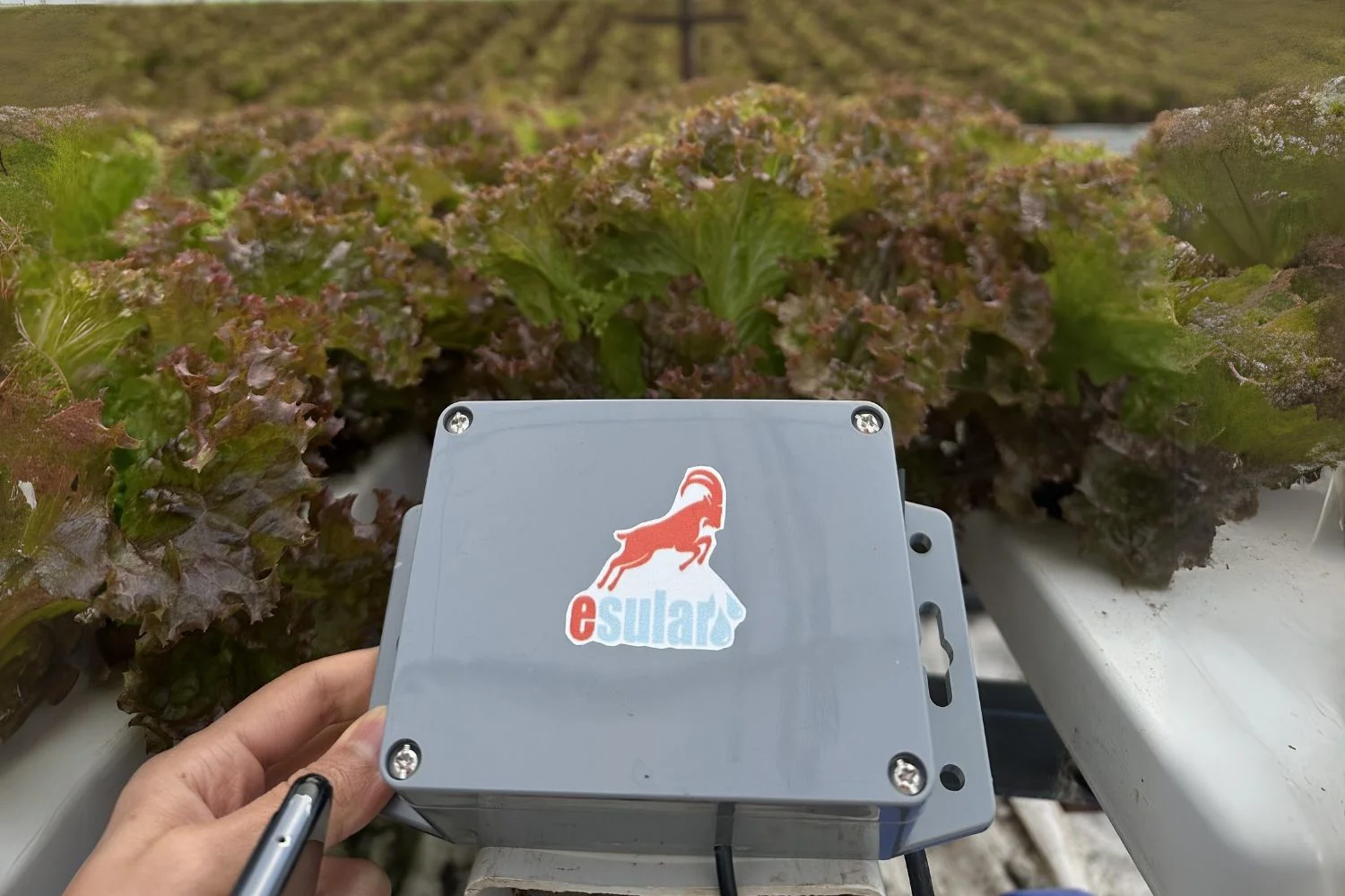 مستشعر EC
