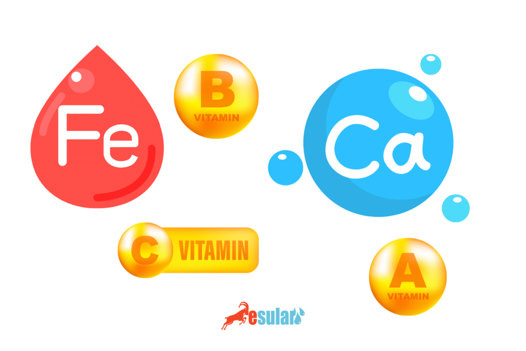 sirken-otu-faydalari